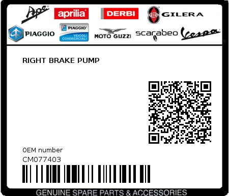 Product image: Piaggio - CM077403 - RIGHT BRAKE PUMP  0